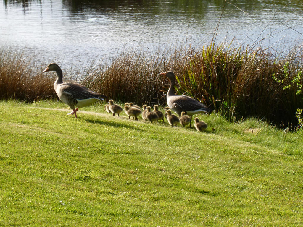 London Beach Country Hotel & Golf Club Tenterden Εξωτερικό φωτογραφία